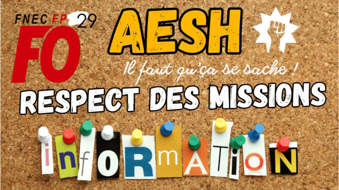 AESH missions