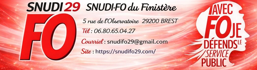 SNUDI-FO 29